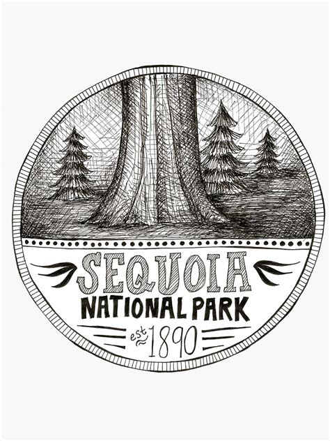 "Sequoia National Park" Sticker for Sale by swoldham | Redbubble