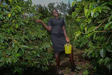 Meet one of the farmers behind Traceable Organic Coffee from Kenya - Solidaridad Network