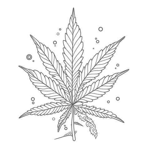 Coloring Marijuana Leaf Drawing At Getdrawings Outline Sketch Vector ...