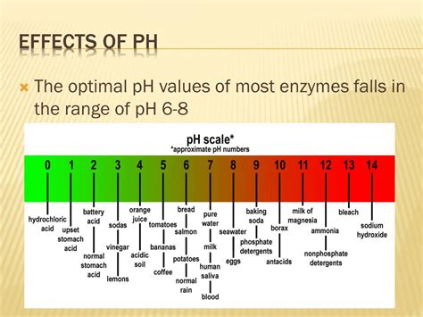 PPT - Investigating Enzymes PowerPoint Presentation, free download - ID ...