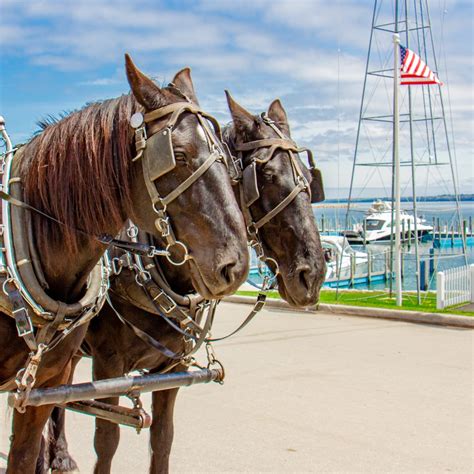 Mackinac Island Carriage Tours, Mackinac Island, MI