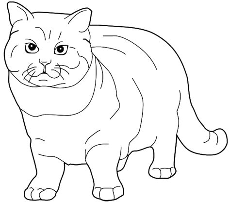 Fat Cat Coloring Pages - Coloring Home