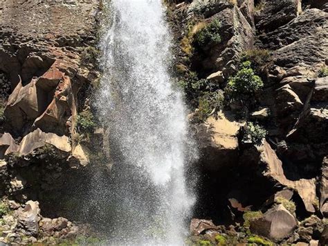 National Park Villages | Great Walks In Tongariro National Park (Apart From The Crossing)