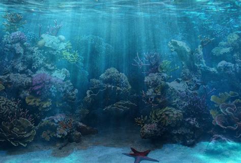 50+ Best Aquarium Backgrounds | Free & Premium Templates