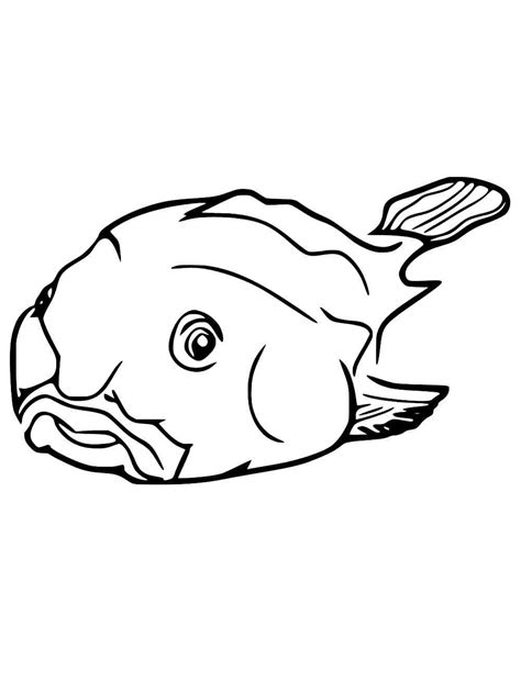 Simple Blobfish coloring page