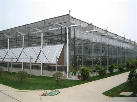 The Cheapest Plastic Sheets For Greenhouse - Buy Greenhouse,Plastic Greenhouse,Plastic Sheets ...