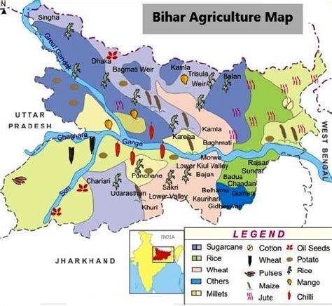 Agriculture Sector in Bihar