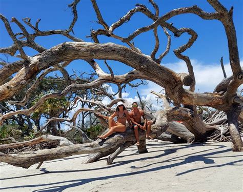 Your Guide to Visiting Driftwood Beach on Jekyll Island | Lighthouse Vacations