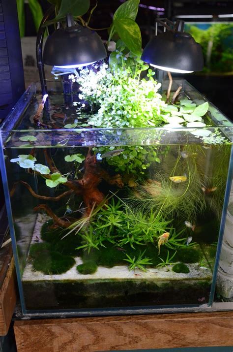 √ Half Moon Aquarium Lid - Aquascape Style