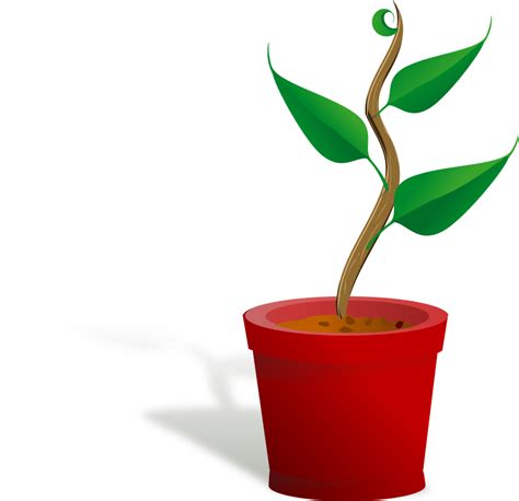 plant growing - Openclipart