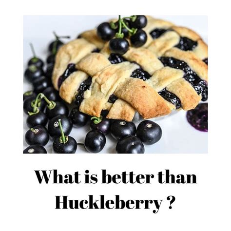 Huckleberry vs Blueberry | Huckleberry vs blueberry, Huckleberry, Blueberry