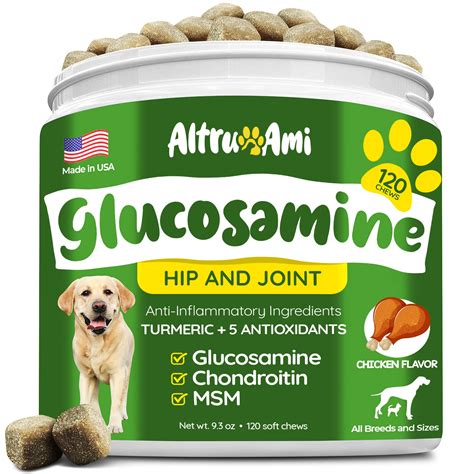 Buy Glucosamine for Dogs - Hip & Joint Supplement for Dogs - Pain Chews with Chondroitin, MSM ...