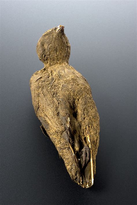 File:Mummified bird, Egypt, 2000-100 BCE Wellcome L0057124.jpg - Wikimedia Commons