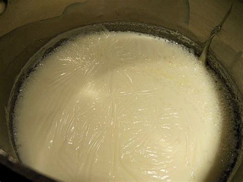 Scalded milk - Alchetron, The Free Social Encyclopedia