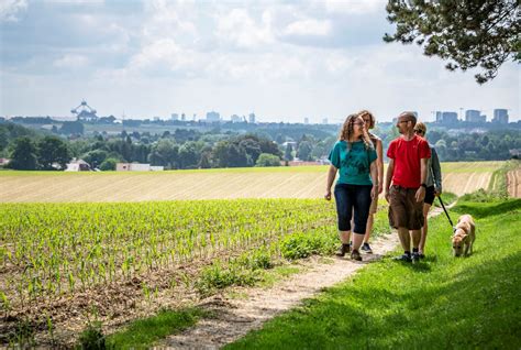 Stay on track with walking routes in the countryside this summer | The Bulletin