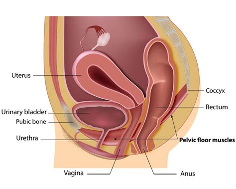 Does it matter if you sit or stand to pee? And what about peeing in the shower? | Seniors ...