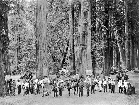 History in Photos: Bohemian Grove