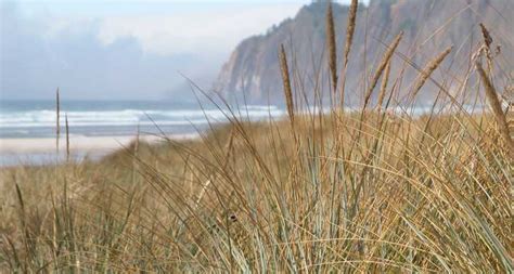 Nehalem Bay State Park - Rockaway Beach