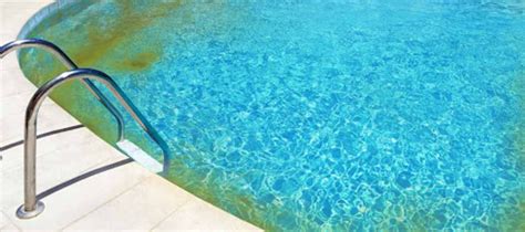 August...Mustard Algae 2.0 - Pacific Pool Supply