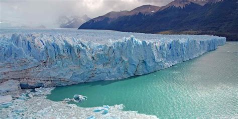 El Calafate & Los Glaciares National Park wildlife location in Argentina, Latin America ...