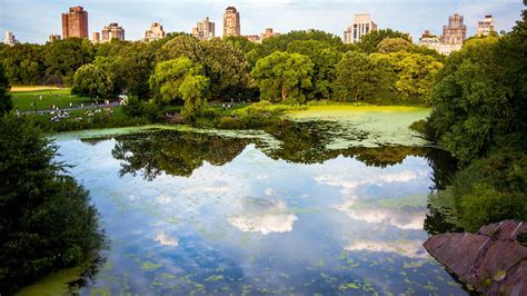 17 Amazing Things To Do In Central Park For Every Season in NYC