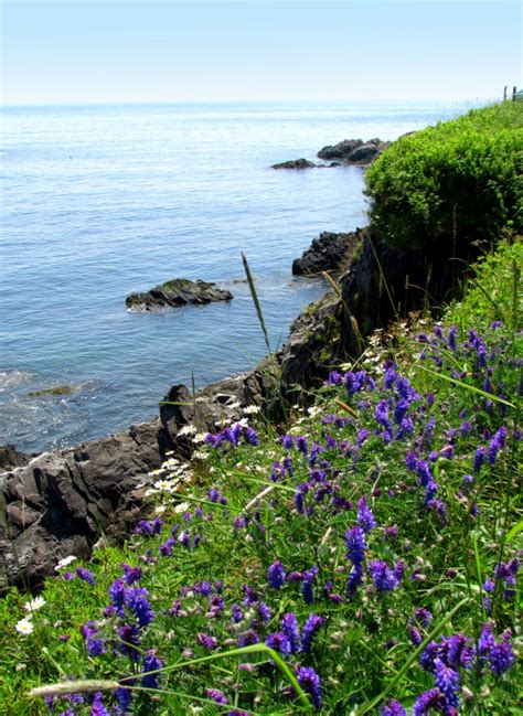 West Quoddy Light House | Quoddy Head State Park, Lubec, Mai… | Flickr