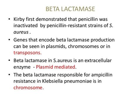 beta lactamases