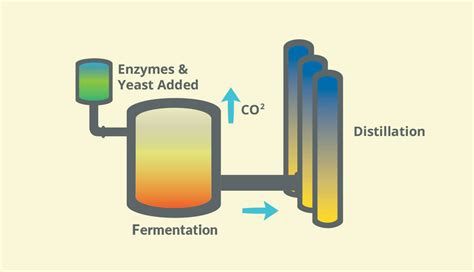 What are Biofuels? | Biofuels