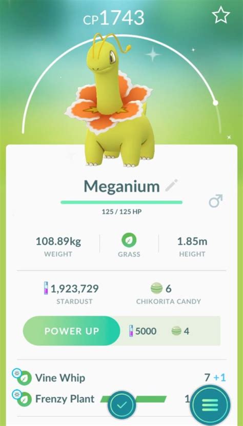 Shiny Meganium – Pokémon Blog