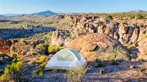 Basin and Range National Monument | Travel Nevada