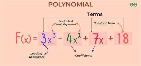 Polynomial: Definition, Types, Degree, Operations & Examples