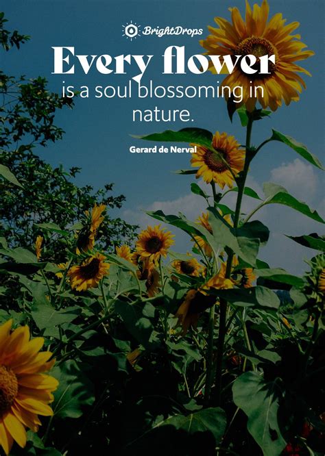 105 Inspirational Nature Quotes on Life and Its Natural Beauty