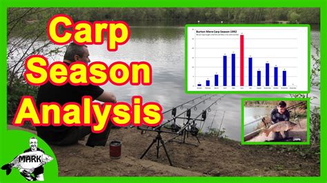 Carp Fishing Tips | Carp Season Analysis - YouTube