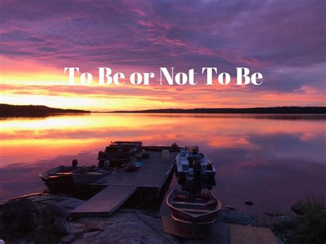 To Be or Not To Be – Dena Johnson