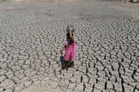 Réchauffement climatique : l’impact sur la santé est majeur