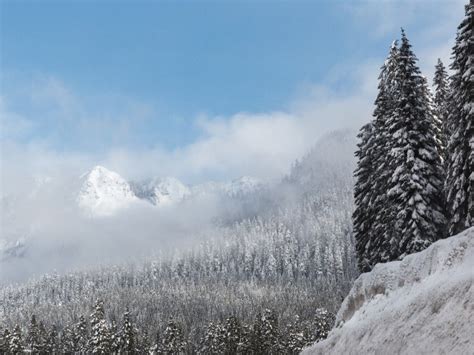 Will It Snow In Puyallup? Here's Your Winter Weather Forecast | Puyallup, WA Patch