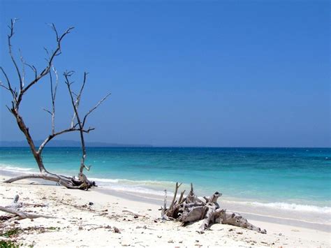 Kalapathar Beach - Havelock Island, Andaman Islands - Timings, Water ...