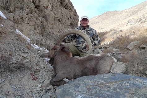 Ibex Hunting in Kyrgyzstan - KyrgyzLine