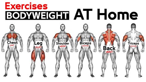 Full Body HOME Bodyweight WORKOUT (squats, Chest ,triceps, Biceps Back, Shoulder | atelier-yuwa ...