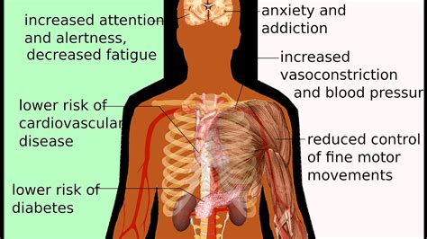 Positive Effects Of Energy Drinks - Energy Choices