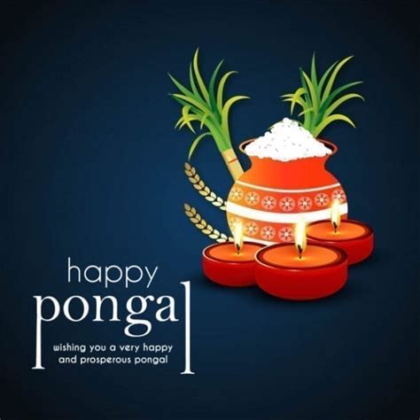 Happy Pongal 2021 Whatsapp Wishes Images Status Wallpapers Quotes ...