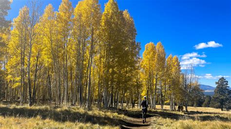 How to Hike the Aspen Loop Trail in Flagstaff, AZ