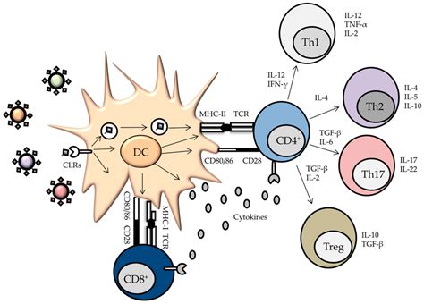 Pathogen Associated Molecular Patterns | My XXX Hot Girl