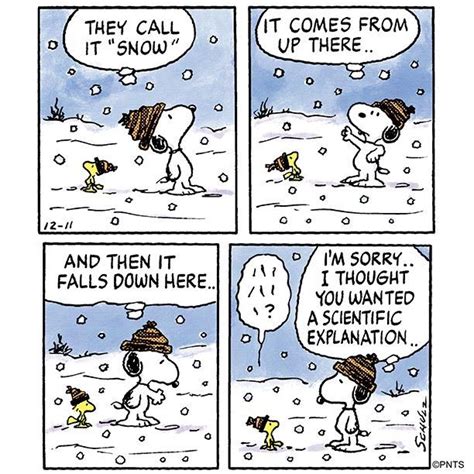 The science of snow ️ | Snoopy comics, Snoopy funny, Charlie brown and ...