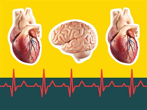 Cardiac Arrest vs. Heart Attack vs. Stroke: Signs, Symptoms, and Causes ...