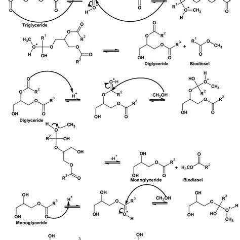 Acid-catalyzed mechanism of homogeneous acid catalyst. | Download ...