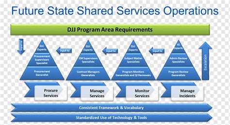 Shared services center Organizational structure Synonym, Florida Department Of Juvenile Justice ...