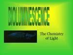 PPT - Bioluminescence PowerPoint Presentation, free download - ID:2425842