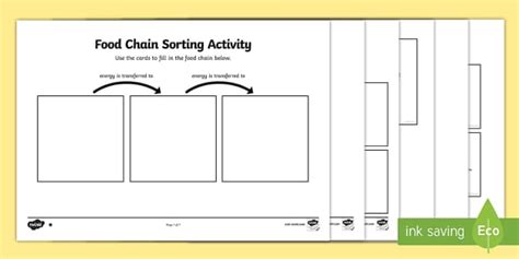 Food Chain Sorting Activity (Teacher-Made) - Twinkl