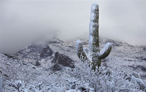 A bunch of photos of today's snow across Tucson ️💕 | tucson life | tucson.com